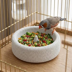Puede incluir: Un cuenco redondo de piedra gris claro con textura granulada, lleno de una mezcla de brócoli verde, zanahorias naranjas y bayas rojas picadas. Un pequeño diamante mandarín de plumaje gris, blanco y naranja está posado en el borde.