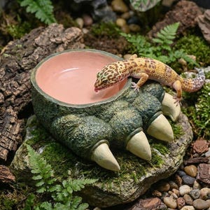 Könnte beinhalten: Eine grüne und beige Reptilien-Wasserschale in Form einer Klaue mit rosa Innenraum. Ein Leopardgecko sitzt am Rand und trinkt Wasser. Die Schale steht auf einem moosigen Felsen, umgeben von Grün.
