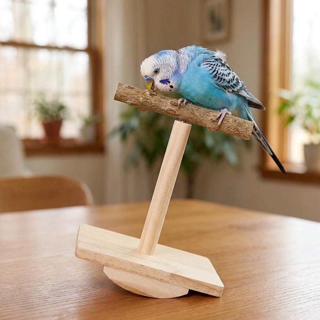 Interactive Wood Parrot Seesaw Toy, Natural Prickly Ash Wood Balance ...