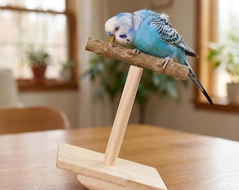 Interactive Wood Parrot Seesaw Toy, Natural Prickly Ash Wood Balance Perch for Cockatiel Conure, Bird Mental Stimulation & Exercise Toy