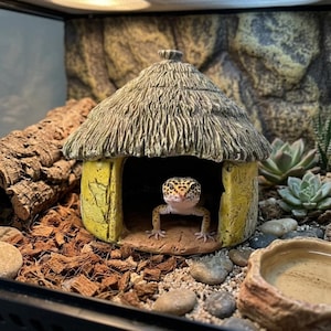 Pode incluir: Um gecko-leopardo com manchas amarelas e pretas posicionado dentro de uma pequena cabana decorativa com um telhado cónico texturizado semelhante a palha e paredes amarelas. A estrutura assenta sobre um substrato de aparas de madeira.