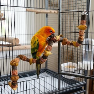 Könnte beinhalten: Ein Sonnensittich mit leuchtend orangefarbenem und gelbem Gefieder sitzt auf einem flexiblen Vogelspielzeug aus abwechselnden Holzsegmenten, strukturierten braunen Perlen und getrockneten Samenkapseln, befestigt an den schwarzen Metallgittern.