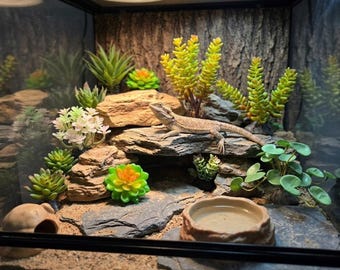 Piante per terrari di rettili, decorazioni con piante grasse artificiali, allestimento paesaggistico per vivari, accessori per terrari di gechi e lucertole