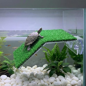 Turtle Basking Platform - Green Plastic Ramp with Suction Cups