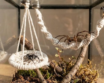 Jumping Spider Suspension Bridge Swing, Magnetic Climbing Enrichment Toy, Handmade Terrarium Decor, Spider Habitat Accessory