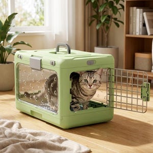May include: A light green cat carrier with a clear front panel and a metal door. A gray and brown tabby cat is inside the carrier, looking directly at the camera. The carrier has a handle on top for easy carrying.