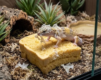 Leopard Gecko Shedding Aid Platform, Resin Textured Basking Rock, Reptile Terrarium Decor for Lizards & Geckos
