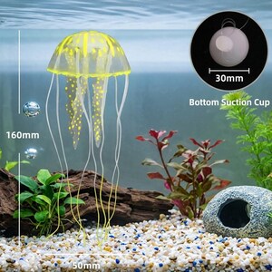 Pu&ograve; includere: Una medusa artificiale gialla e trasparente, alta 16 cm e larga 5 cm, con lunghi tentacoli fluenti. La medusa presenta macchie e strisce gialle. &Egrave; inclusa una ventosa di 30 mm di diametro. Il testo "Bottom Suction Cup" &egrave; visibile.