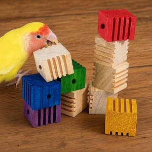 May include: A yellow lovebird with a peach-colored face interacts with a collection of small, square wooden blocks. The blocks feature vertical grooves on their sides and a central hole, appearing in natural wood, red, blue, green, purple, and yellow.