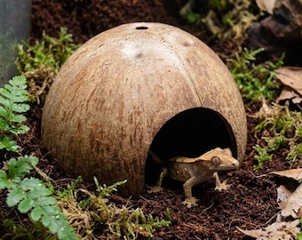 Natural Coconut Shell Reptile Hide, Terrarium Cave Shelter for Small Pets