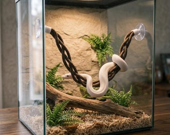 Flexible Reptile Climbing Vine, A Winding Jungle Path for Snakes, Geckos & Lizards, Suction Cup Terrarium Enrichment