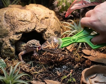 Safe PVC Reptile Feeding Tongs, Scissor Handle Tweezers for Bearded Dragon & Snake, Anti-Slip Feeding Tool for Geckos, Lightweight Durable