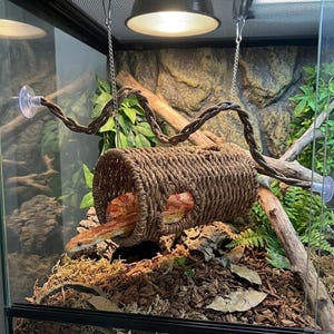 Op de afbeelding: Een cilindrische tunnel van gevlochten touw, opgehangen aan metalen kettingen in een glazen terrarium. De bruine, getextureerde tunnel heeft een opening aan de zijkant waar een oranje en wit gespikkelde slang gedeeltelijk uitsteekt.