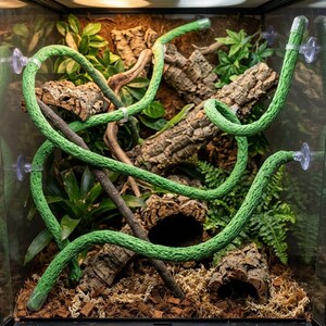 Reptilien Kletterranke, flexibler Terrarium Zweig mit Saugnäpfen, Schaum Jungle Gym Decor für Schlangengecko Eidechse