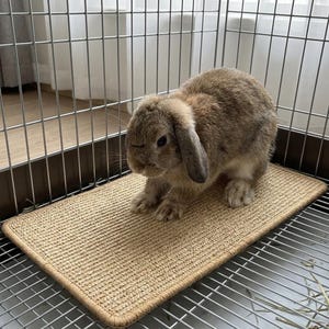 Puede incluir: Un conejo de orejas caídas de color marrón claro con pelaje suave sentado sobre una alfombrilla rectangular tejida de color tostado. La alfombrilla tiene una superficie texturizada y un borde acabado, dentro de una jaula de alambre.