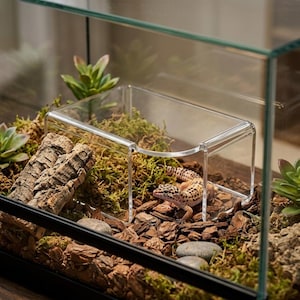 May include: A clear acrylic reptile hide box with a curved entrance, positioned inside a glass terrarium enclosure. The habitat features a leopard gecko, pieces of cork bark, green moss, small stones, and artificial succulent plants.