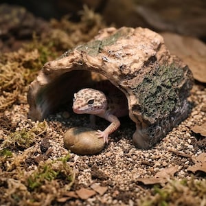 Resin Bark Reptile Hide, Natural Log Cave for Gecko Lizard Snake, Terrarium Decor Shelter, Small Pet Hideout
