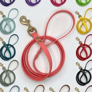 Puede incluir: Una colección de quince correas para perro en varios colores sólidos, incluyendo coral, morado, rosa, verde lima, azul verdoso, amarillo, rojo, negro, marrón y salvia. Cada correa presenta una cinta lisa y flexible con un mosquetón de latón.