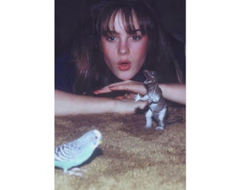 Big Thief - Masterpiece Premium Matte Poster