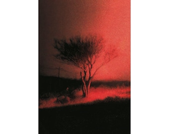 Joji - Piss In The Wind Premium Matte Poster
