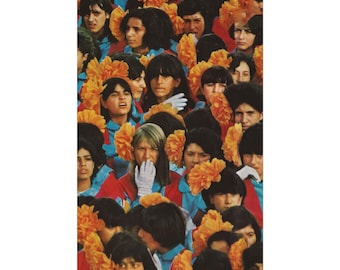 Alvvays - Alvvays Premium Matte Poster