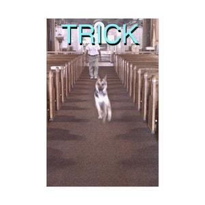 May include: A German Shepherd dog running down the aisle of a church, with a person walking ahead. The word "TRICK" is written in light blue letters at the top of the image.