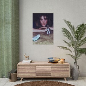 a wooden entertainment center with a framed photograph of a woman and a bird on the wall above it. The entertainment center also has a small decorative bird figurine and a bowl on top. The room has a green curtain, a potted plant, and a rug on the floor.
