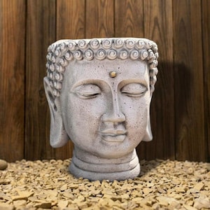 Può includere: Un vaso a forma di testa di Buddha color grigio chiaro con una texture simile alla pietra, caratterizzato da un'espressione serena con occhi chiusi, lobi delle orecchie allungati e un piccolo punto dorato sulla fronte. I capelli sono a ricci.