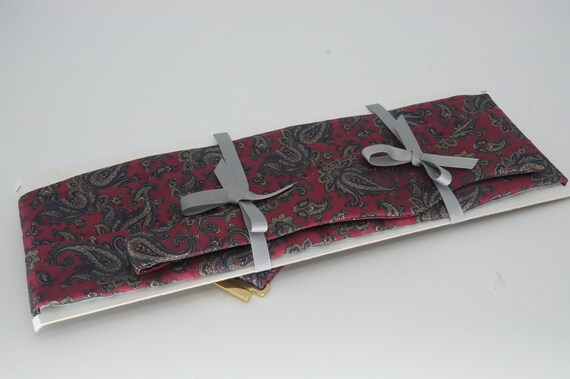 Robert Talbott Silk Bow Tie & Cummerbund Set - image 3
