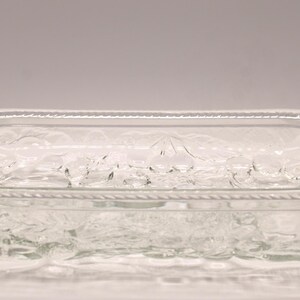 May include: A rectangular clear glass baking dish featuring a decorative embossed fruit pattern on the exterior base and sides. The rim of the dish is finished with a raised rope-like texture, and integrated handles are present on both ends.