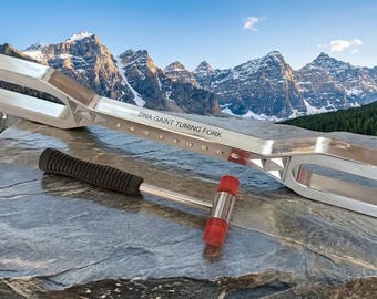 Giant DNA Key Tuning Fork: 288Hz, 432Hz, Sound Healing, Meditation Tool, Includes Striker