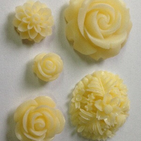 Refrigerator Fridge Office Magnets Resin Flowers Ivory Set of 5