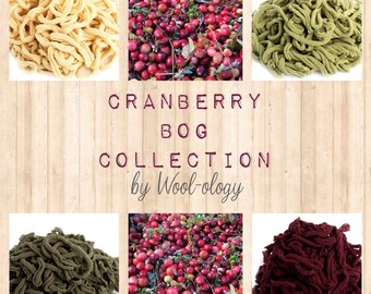 New Friendly Loom™ Potholder Loop CRANBERRY BOG Collection by Wool-ology