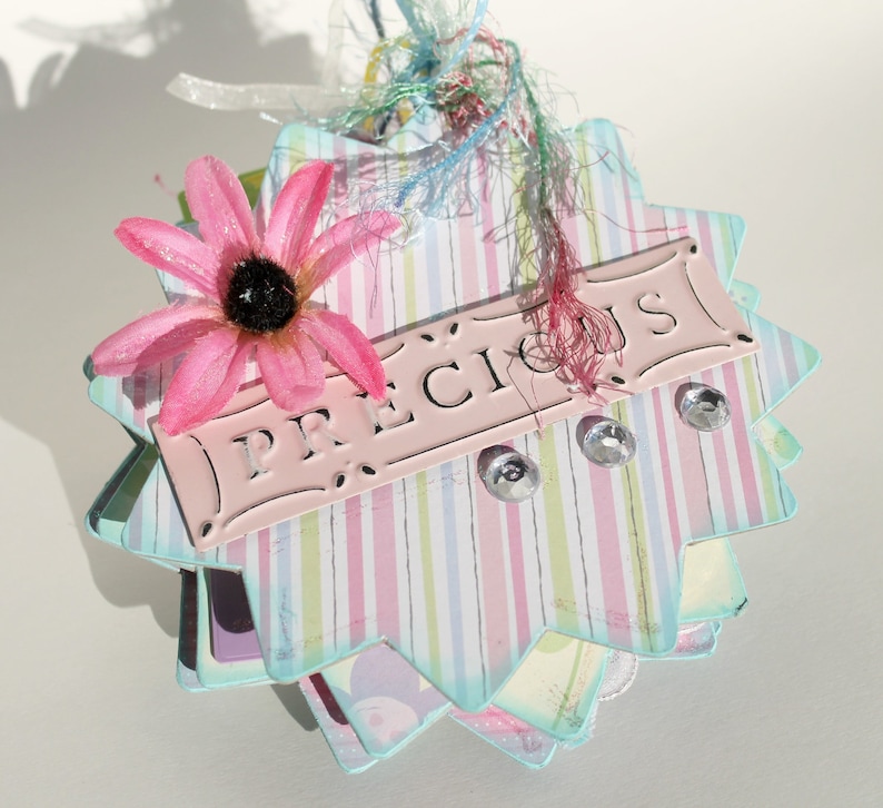 May include: A pink and blue striped paper craft with a metal tag that says "PRECIOUS". The tag is decorated with a pink flower and rhinestones.