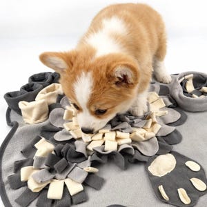 Interactive dog snuffle mat – Anti-stress activity game – Mental enrichment – Educational toy for puppies and dogs