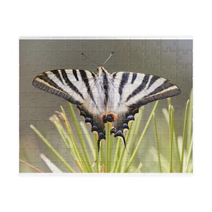 Scarce Swallowtail Butterfly Puzzle 252-1014 Piece | Nature Photo Jigsaw