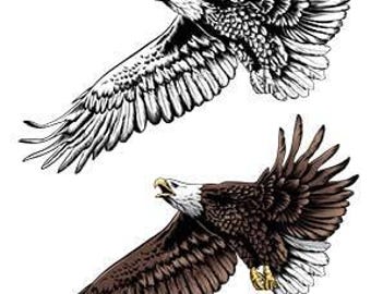 Eagle 6