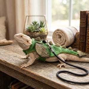 May include: A bearded dragon wearing a green and gold harness with a black lead. The harness has a scale-like design and is decorated with gold spikes. The reptile is on a wooden surface near a window.