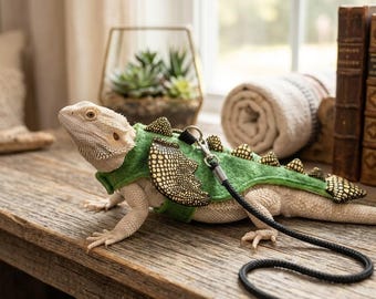 Lizard Leash with Wings and Chest Strap for Reptile Outings