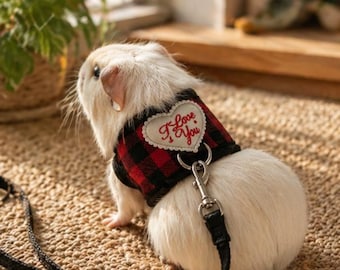 Guinea Pig Leash Small Pet Harness Adjustable Vest for Chinchillas Ferrets & Rabbits