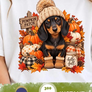 May include: A white t-shirt featuring a graphic of a black and tan dachshund wearing a tan knit beanie and boots. The dog is surrounded by pumpkins, autumn leaves, and a wooden sign that reads PUMPKIN PATCH and a jar labeled hello fall.