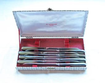 Juego de cuchillos de mesa franceses de baquelita, hojas de acero inoxidable, en caja