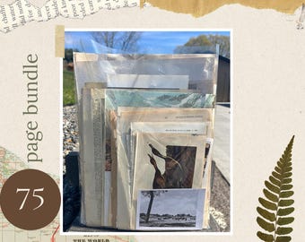 Curated Vintage Ephemera Archive | Authentic Antique Pages for Junk Journal, Collage & Paper Craft (1880s–1930s)