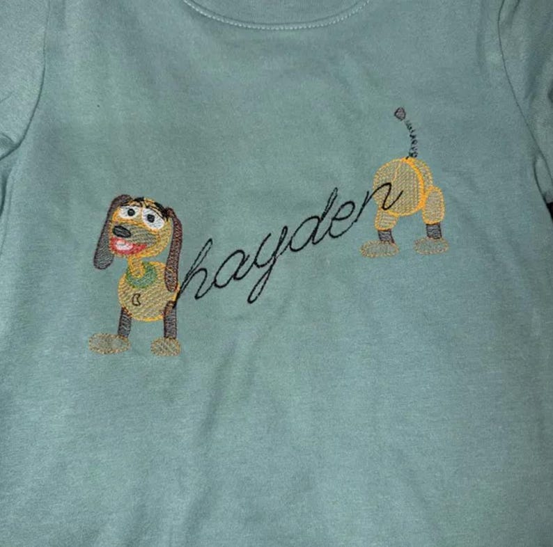 May include: A light teal-colored shirt with an embroidered dog design and the name "Hayden" in cursive. The dog is yellow, brown, and black, with a smiling face. The design is on the front of the shirt.