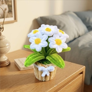 May include: A decorative floral arrangement featuring white daisy-like flowers with yellow centers and green leaves. The flowers are in a small, beige pot with a white bow. The arrangement sits on a wooden nightstand.