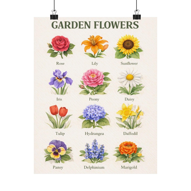 Garden Flowers Botanical Print Vintage Flower Chart Poster Wall Art - Etsy
