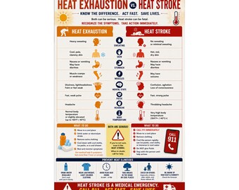 Heat Exhaustion vs Heat Stroke Poster Medical Safety Infographic