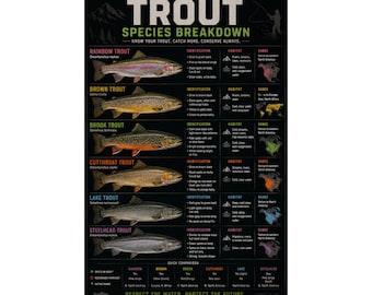 Trout Species Breakdown Poster Fish Identification Chart