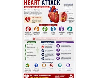 Hartaanval infographic poster medische anatomie onderwijs