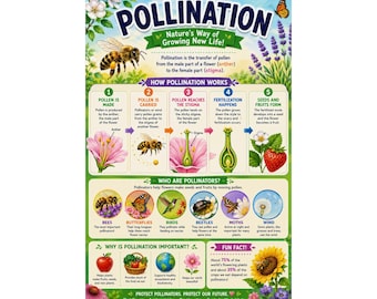 Pollination Educational Chart Poster Bee & Flower Science Wall Art